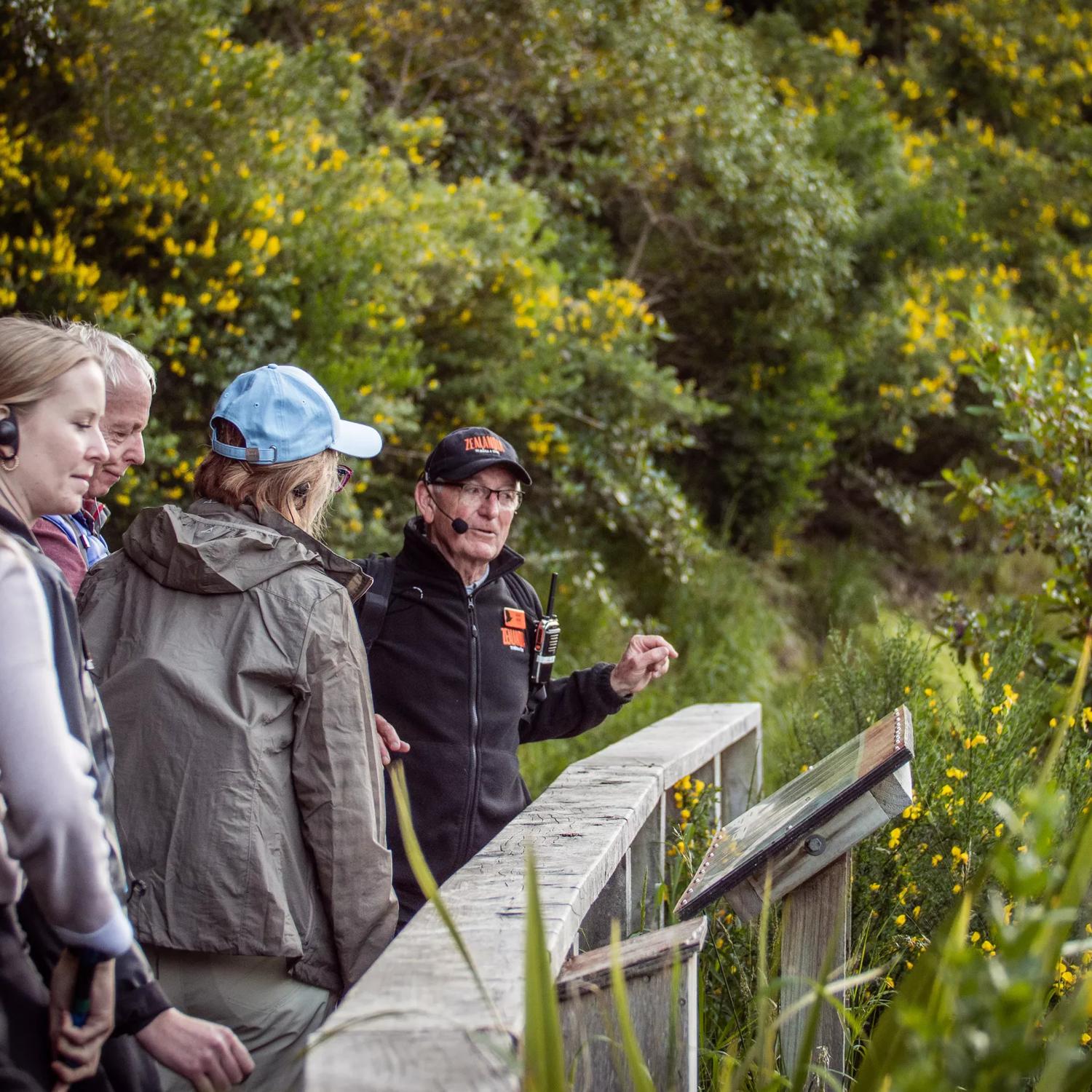 People enjoying a Zealandia twilight tour, surrounded by bush and led by a tour guide.