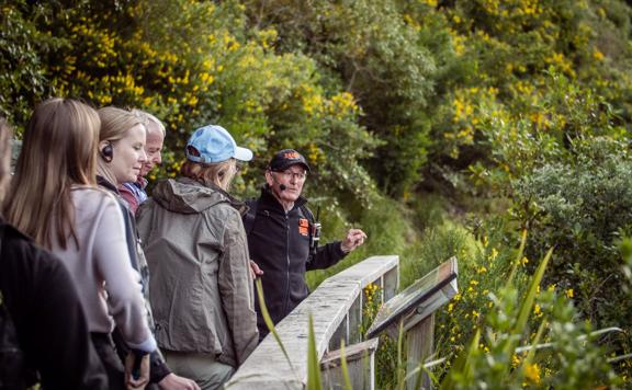 People enjoying a Zealandia twilight tour, surrounded by bush and led by a tour guide.