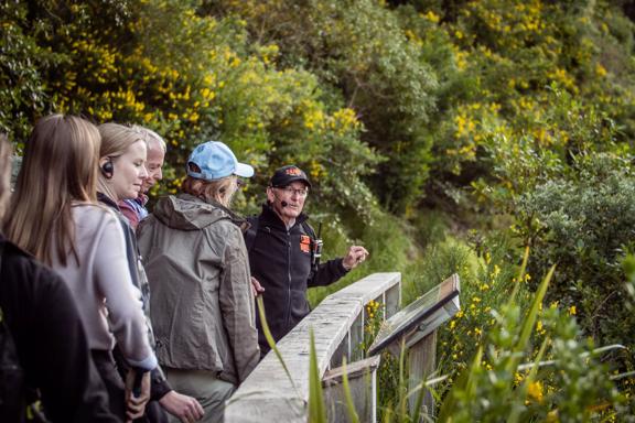People enjoying a Zealandia twilight tour, surrounded by bush and led by a tour guide.