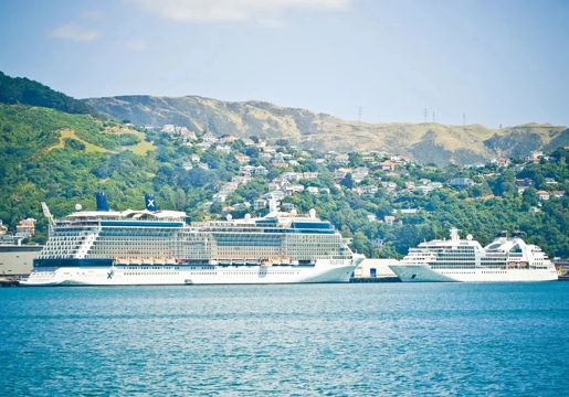Two cruise ships in the Wellington Harbour.