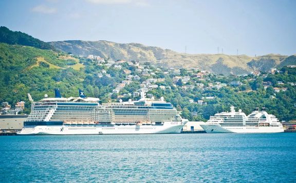 Two cruise ships in the Wellington Harbour.