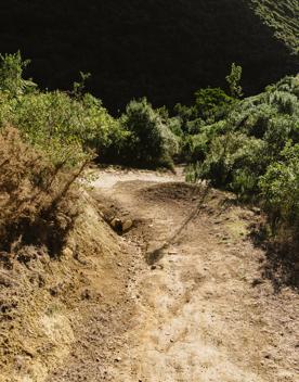 A section of the Wētā mountain bike track in Belmont Regional Park. The dirt track winds around burms, and through gorse bush.