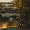 A mountain biker riding along a dirt track amongst trees on Super Plus trail in Wainuiomata Park. In the background, there is a view of the Petone foreshore.