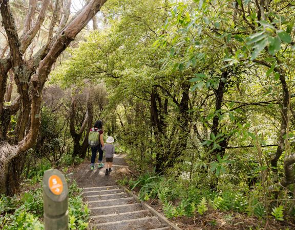Two people walking down steps at Ōtari-Wilton's Bush.