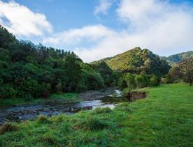 The screen locations of Catchpool Valley, with the river, lush bush,  forest, and grassland.