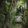 A downhill mountain bike rider going over a wooden drop jump on Dozer trail in Wainuiomata.