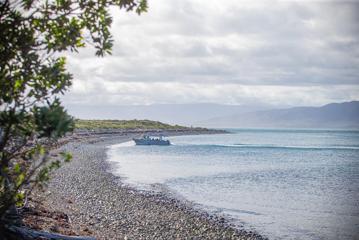 A boat landing on one of the rocky beaches of Kapiti Island.