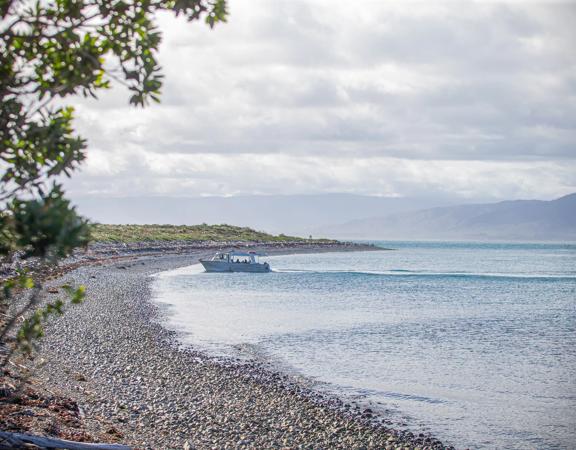 A boat landing on one of the rocky beaches of Kapiti Island.