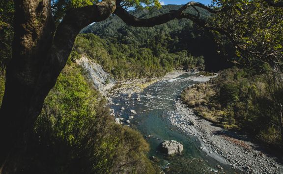One of the rivers on the Holdsworth to Kaitoke track showing a large rock slip into the river.