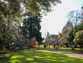 The screen locations for Masterton, Wairarapa. Named best small town in 2017, it features gardens, historic buildings, modern buildings, suburban areas, bridges, and streams.