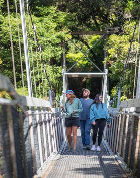 Three people walking across a swingbridge, with forest in the background.