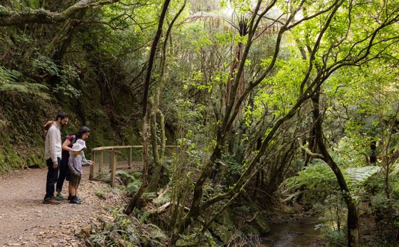 Two adults and two children at Ōtari-Wiltons Bush, looking down at the Kaiwharawhara river.
