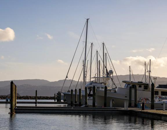 The screen location of Seaview Marina, with hundreds of boats berthed in the seaport.