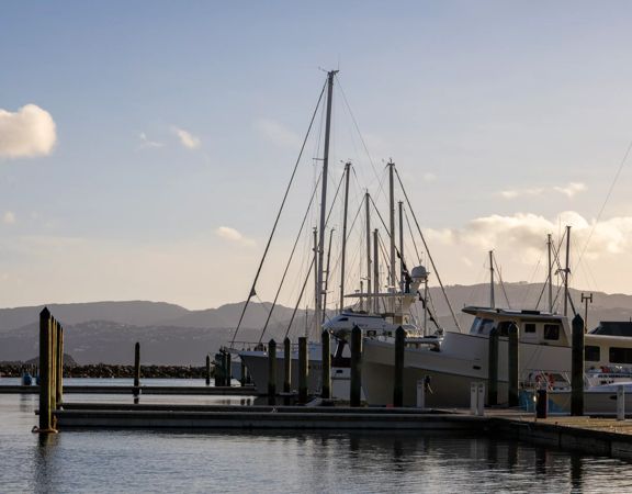 The screen location of Seaview Marina, with hundreds of boats berthed in the seaport.