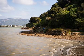 Camborne Walkway wrapping around the Pāuatahanui Inlet.