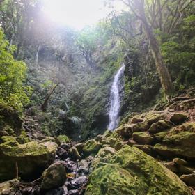 The Percy Scenic Reserve, features walking tracks, lawns, native bushes, gardens, and a large waterfall.