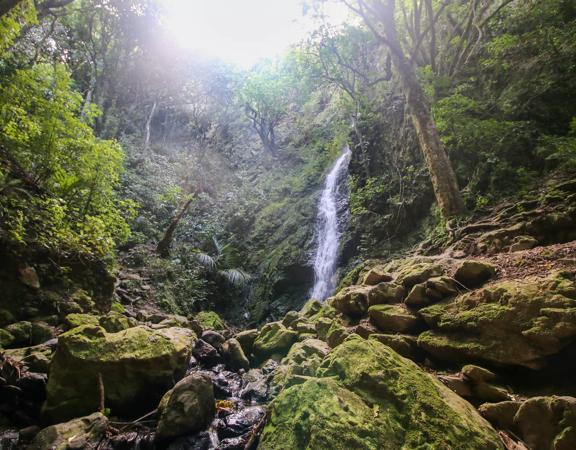 The Percy Scenic Reserve, features walking tracks, lawns, native bushes, gardens, and a large waterfall.