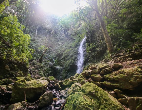 The Percy Scenic Reserve, features walking tracks, lawns, native bushes, gardens, and a large waterfall.