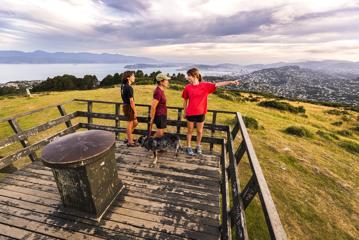 Three people and a dog walking at the Skyline Walkway summit of Mount Kaukau / Tarikākā.