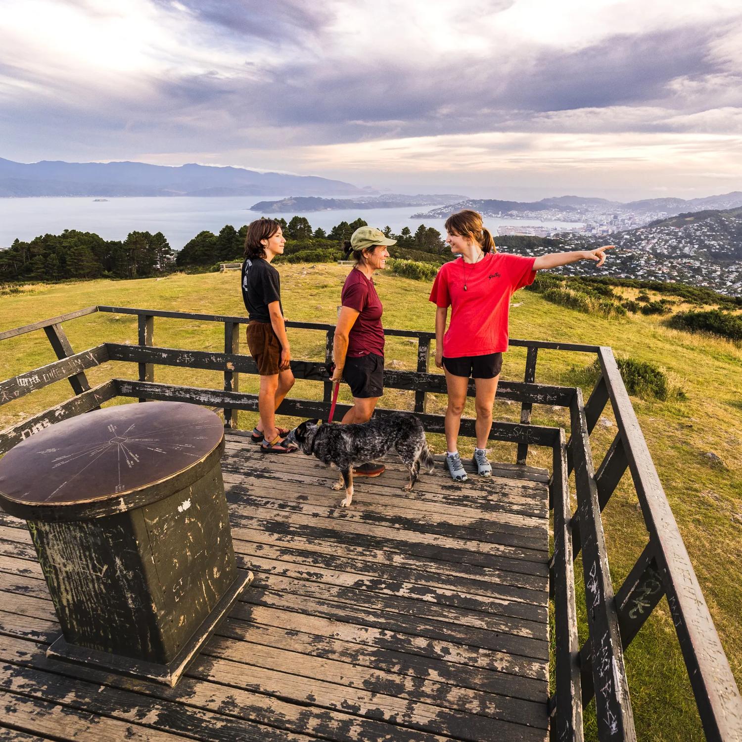 Three people and a dog walking at the Skyline Walkway summit of Mount Kaukau / Tarikākā.