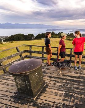 Three people and a dog walking at the Skyline Walkway summit of Mount Kaukau / Tarikākā.