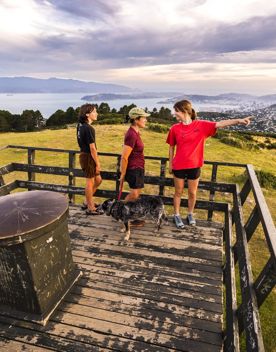 Three people and a dog walking at the Skyline Walkway summit of Mount Kaukau / Tarikākā.