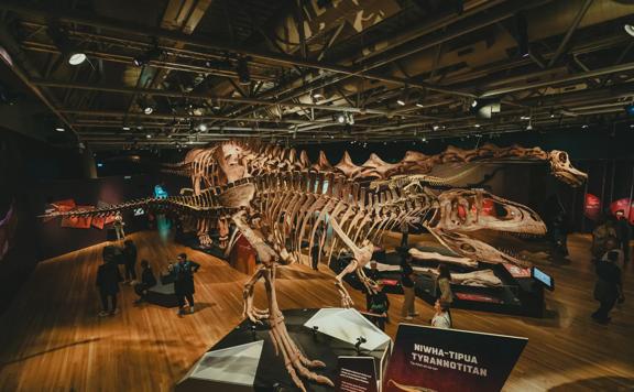 The Dinosaurs of Patagonia Exhibition in Te Papa Museum of New Zealand in Wellington showcasing the cast two large dinosaurs.