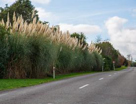 The screen location of Waitohu Valley Ōtaki, features native and exotic forests, pastoral lands, and wetlands.