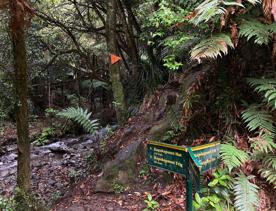 A sign sowing directions to Kapakapanui Track in Tararua Forest Park.