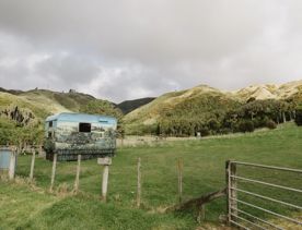 A small camping trailer painted to match the surrounding nature at Whareroa Farm Recreation Reserve.