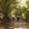 Two adults and two kids walking on a trail at Ōtari-Wilton's Bush