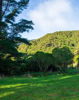 Camp Wainuiomata screen location. Has several buildings and is surrounded by forest and bush.