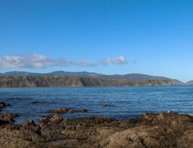 Breaker Bay on a sunny day, blue and green waves crashing on the stoney shore, with green cliffs surrounding.