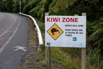 Sign next to a road that reads 'Kiwi Zone, dogs kill kiwi, keep dogs on a leash at all times'. It has a picture of a kiwi bird inside a yellow diamond shape.