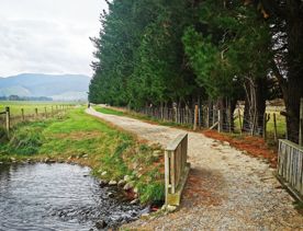 A dirt path cuts through green grass , trees and a river on the Greytown to Woodside trail.