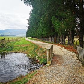 A dirt path cuts through green grass , trees and a river on the Greytown to Woodside trail.
