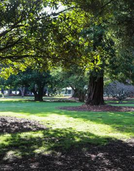 The screen locations for Masterton, Wairarapa. Named best small town in 2017, it features gardens, historic buildings, modern buildings, suburban areas, bridges, and streams.