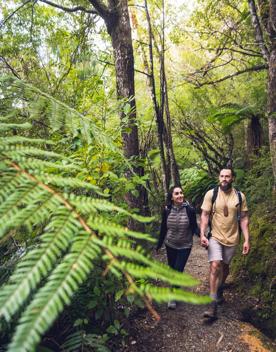 Two people hike the Gentle Annie Track to Mount Holdsworth in Tararua Forest Park.