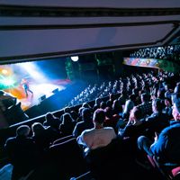 A packed audience watches the Best Foods Comedy Gala 2024 at The Opera House in Wellington.