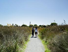 Two people walking along a path amongst flax on the Waikanae River Trail.