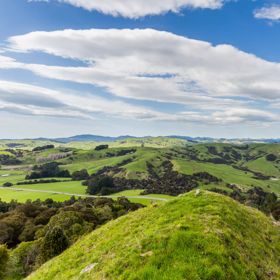 A viewpoint about Rewanui Forest Park, overlooking the green hills of east Wairarapa.