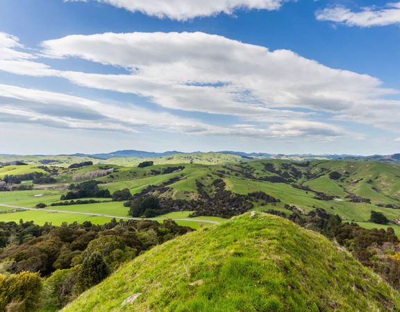 A viewpoint about Rewanui Forest Park, overlooking the green hills of east Wairarapa.