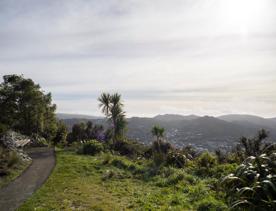 The Wrights Hill Fortress screen location, located in Karori overlooking Wellington from an old gun emplacement. The location includes historic monuments, underground landmarks, and tunnels.