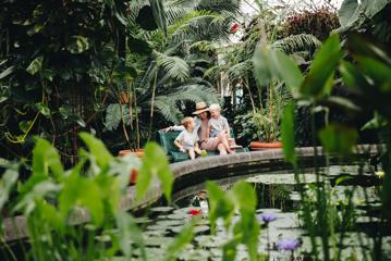 An adult and two children sit on a bench in front of a pond, surrounded by green plants, inside the greenhouse at Wellington Botanic Garden.