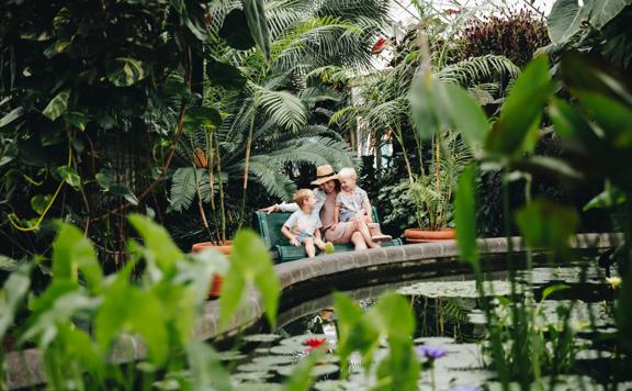 An adult and two children sit on a bench in front of a pond, surrounded by green plants, inside the greenhouse at Wellington Botanic Garden.