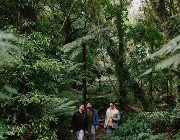 Three friends hike in Ōtari-Wilton's Bush surrounded by native trees.