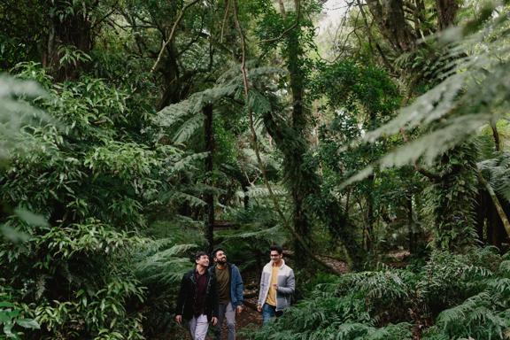 Three friends hike in Ōtari-Wilton's Bush surrounded by native trees.