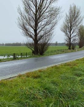 The rural Western Lake Road features lush green fields.