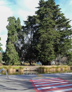 The screen locations for Masterton, Wairarapa. Named best small town in 2017, it features gardens, historic buildings, modern buildings, suburban areas, bridges, and streams.