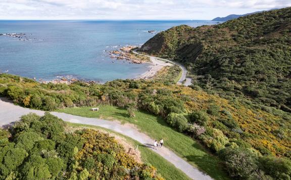 Birds eye view of Tarakena Bay looking south towards the Cook Strait.